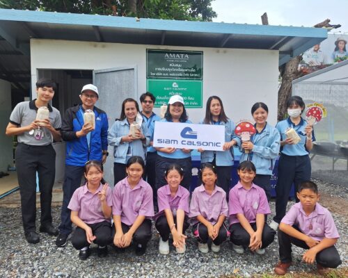 Amata Grow Vegetables and herbs For Kids Activity.