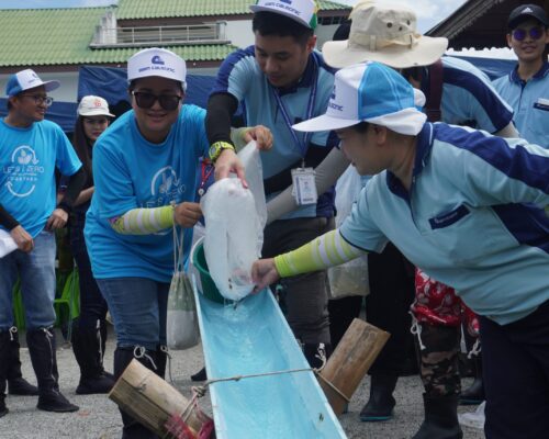 Fish Release and Mangrove Planting Activity to Prevent Global Warming in Honor of Her Majesty the Queen’s Birthday