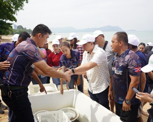 Release Shark back to Ocean Activity on October 15th, 2023